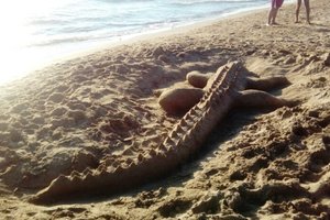 Piscina e spiaggia