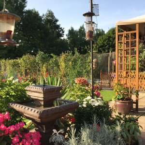 Bird feeder  gazebo and pool