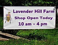 3-Bags-O-Lavender  Lavender Hill Farm of Niles MI LLC