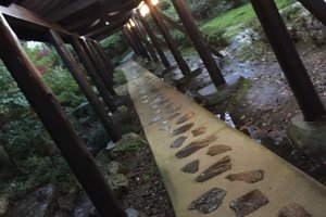 食事
