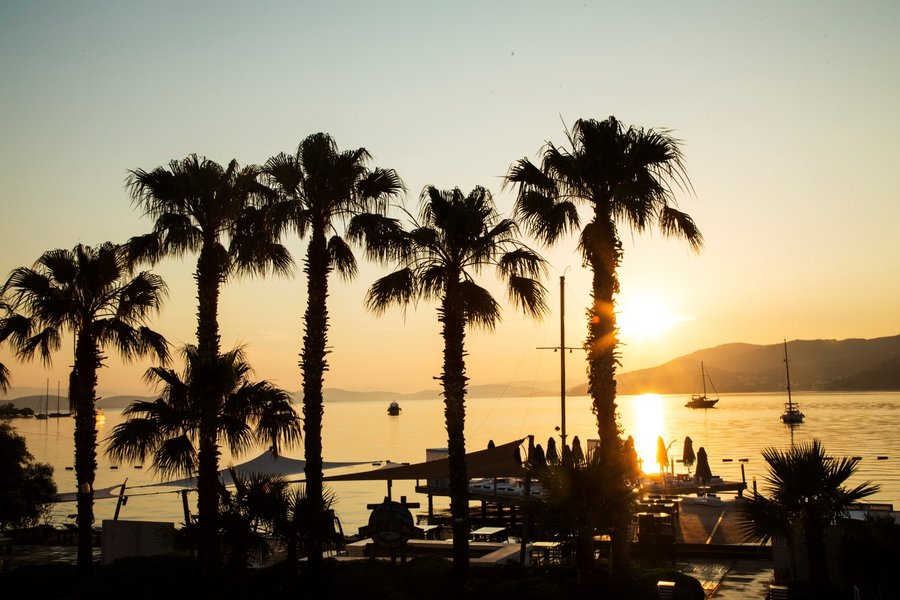 Hotel Torbahan 63 1 9 0 Updated 2020 Prices Reviews Torba Turkey Tripadvisor