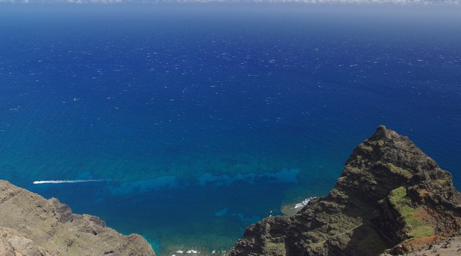 The coral reef below