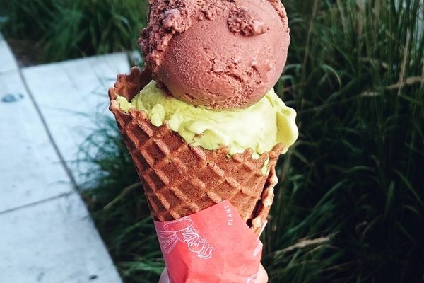 Best Ice Cream Shops in Seattle: The 2023 Controversial List