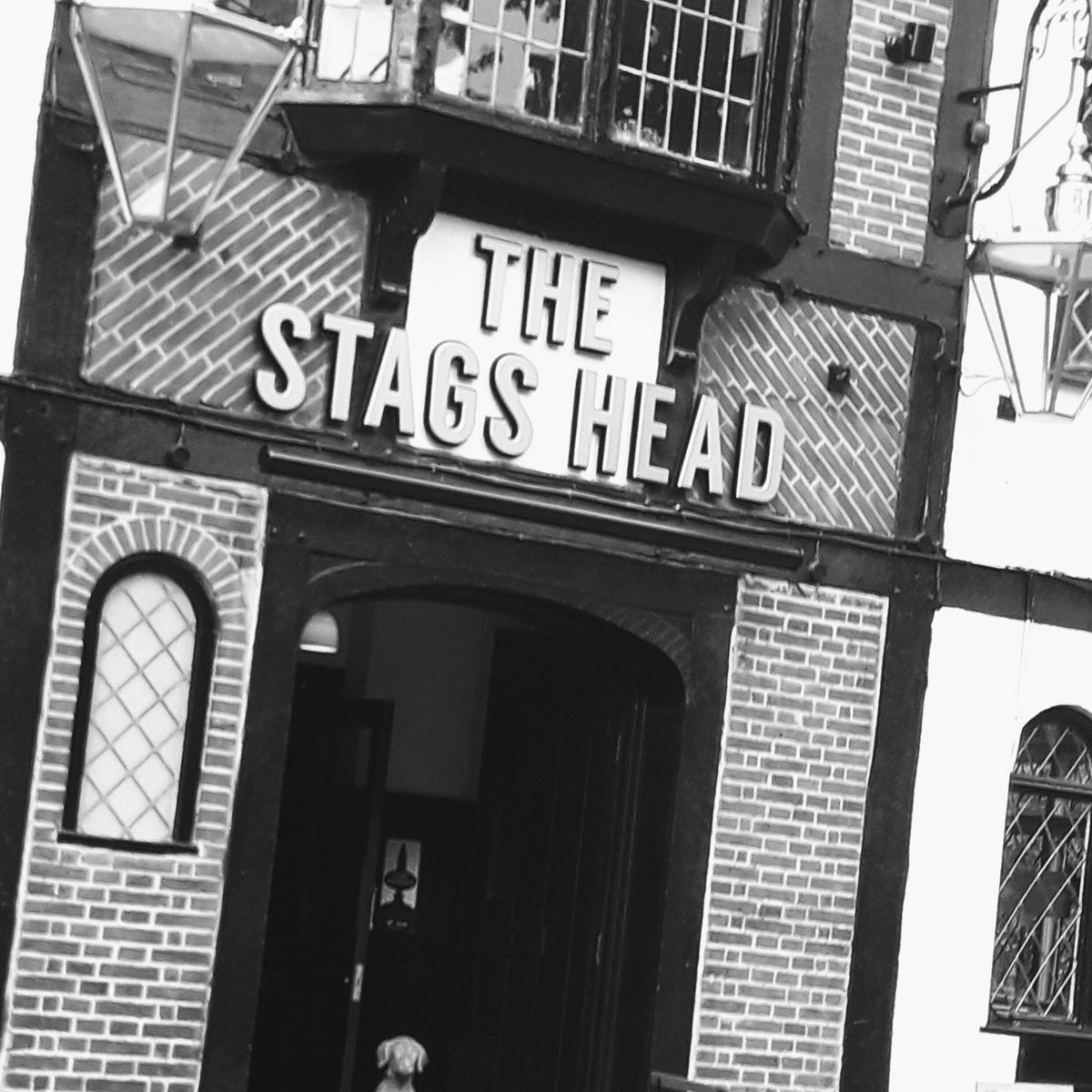 The Stags Head