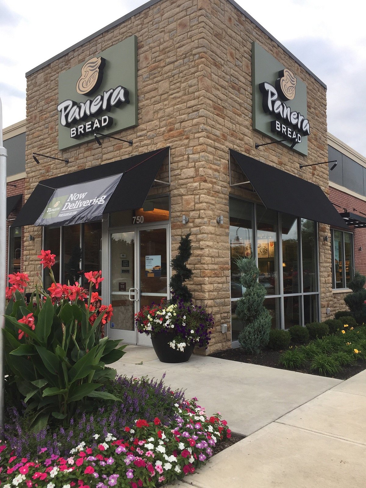 PANERA BREAD, Delaware - 750 West Central Ave - Menú, Precios y Restaurante  Opiniones - Tripadvisor