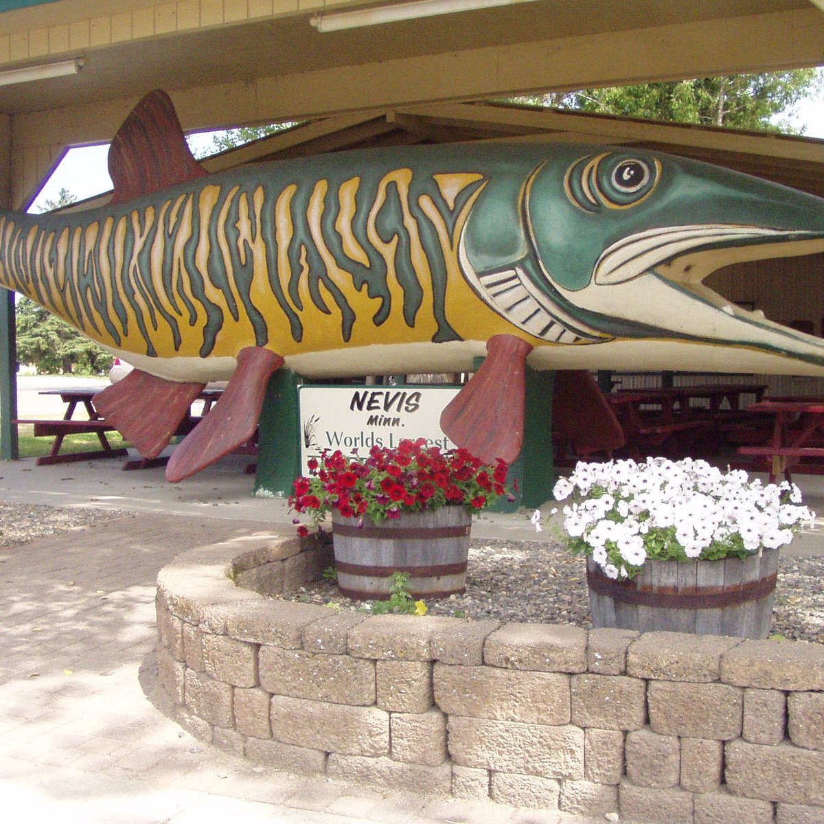 WORLD'S LARGEST MUSKIE (Nevis) Tutto quello che c'è da sapere