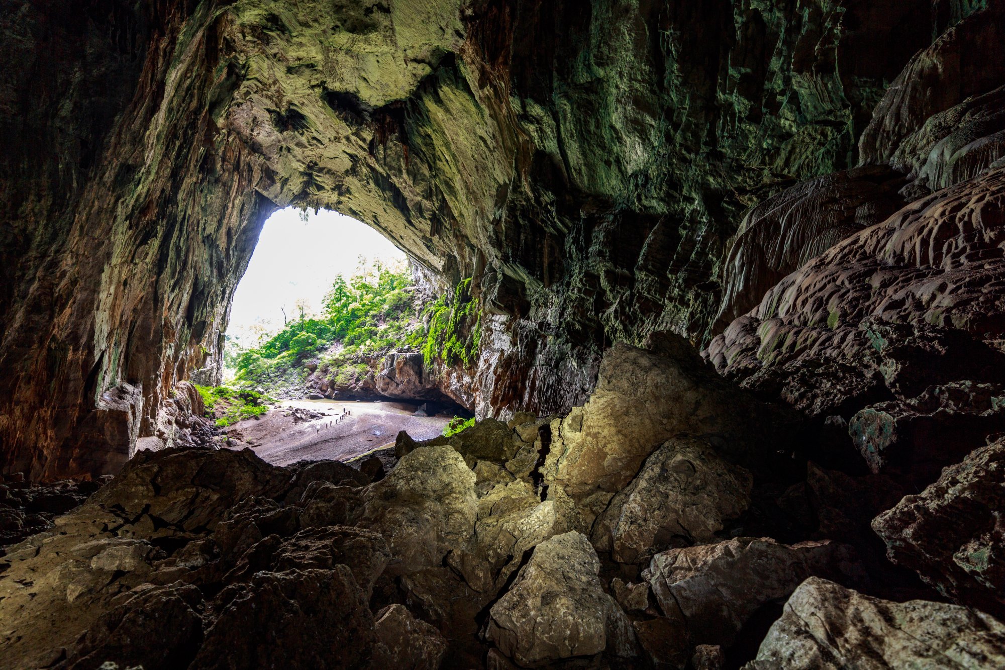 Fogger cave outlet