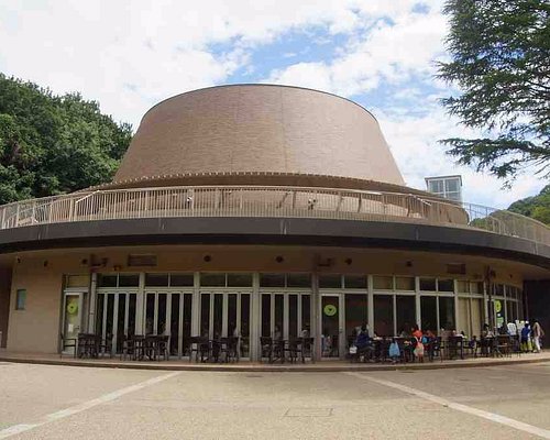 神奈川県の科学博物館 神奈川県の 10 件の科学博物館をチェックする トリップアドバイザー