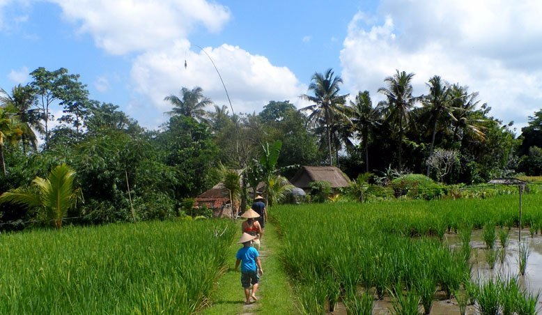 Bali Agritours (Abiansemal) - All You Need to Know BEFORE You Go