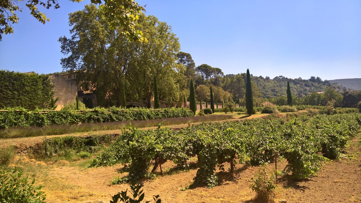 Chateau la Canorgue, Боннье: лучшие советы перед посещением - Tripadvisor