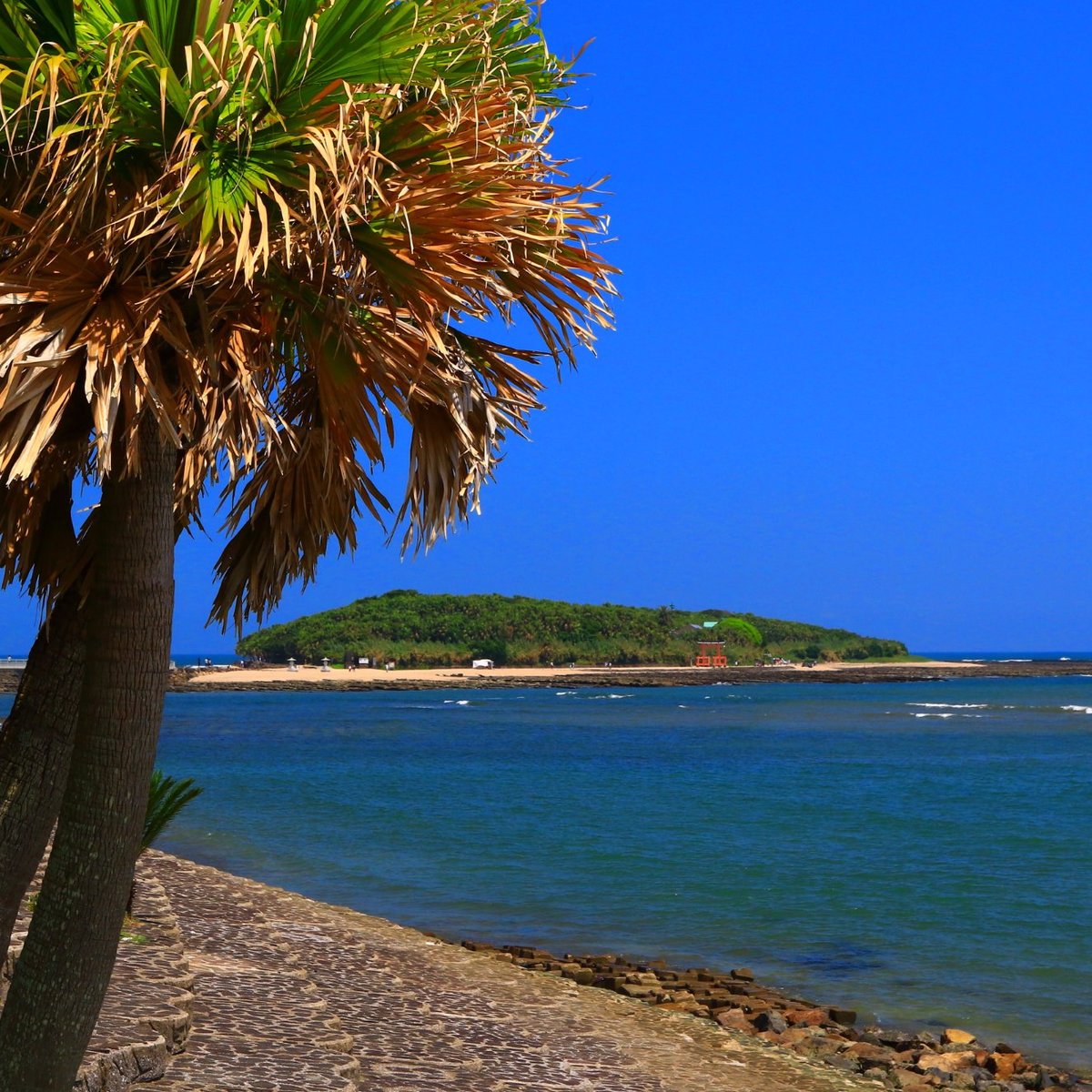 Aoshima Island - Miyazaki Travel