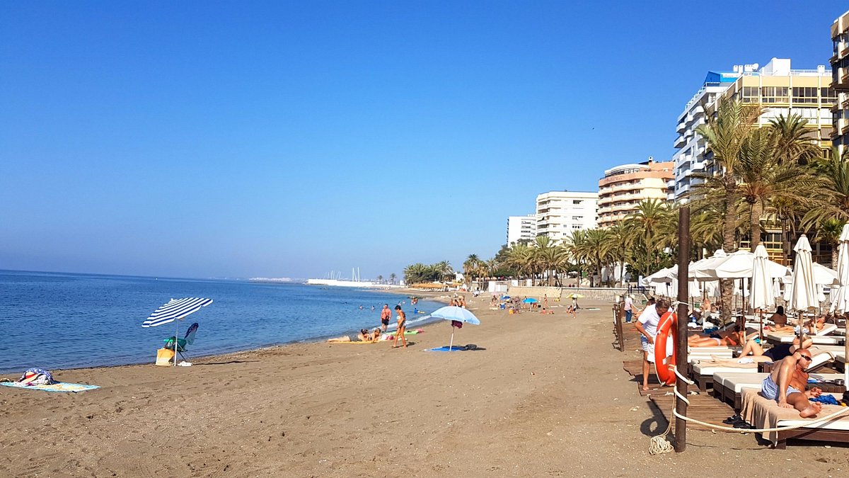 AMARE BEACH HOTEL MARBELLA (Марбелья) - отзывы, фото и сравнение цен -  Tripadvisor