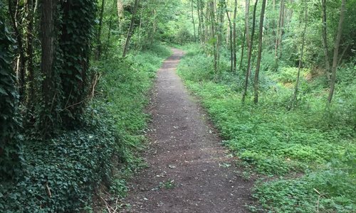 Wandelpad langs de Mulderplas