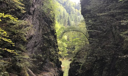 Beautiful walking.