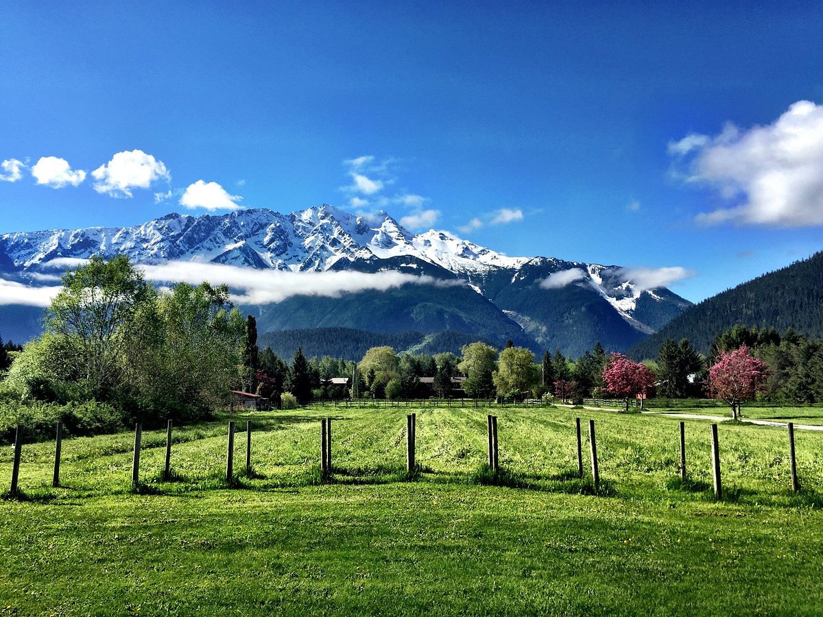PEMBERTON VALLEY INN - Guesthouse Reviews, Photos, Rate Comparison - Tripadvisor