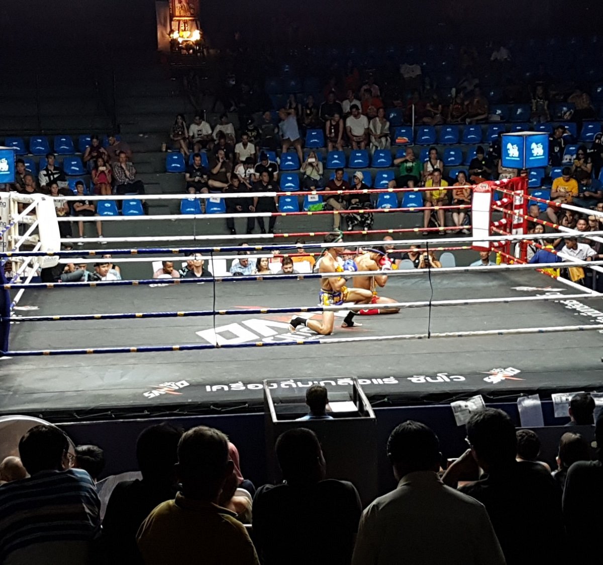 Short de boxe Thai • Fight Zone