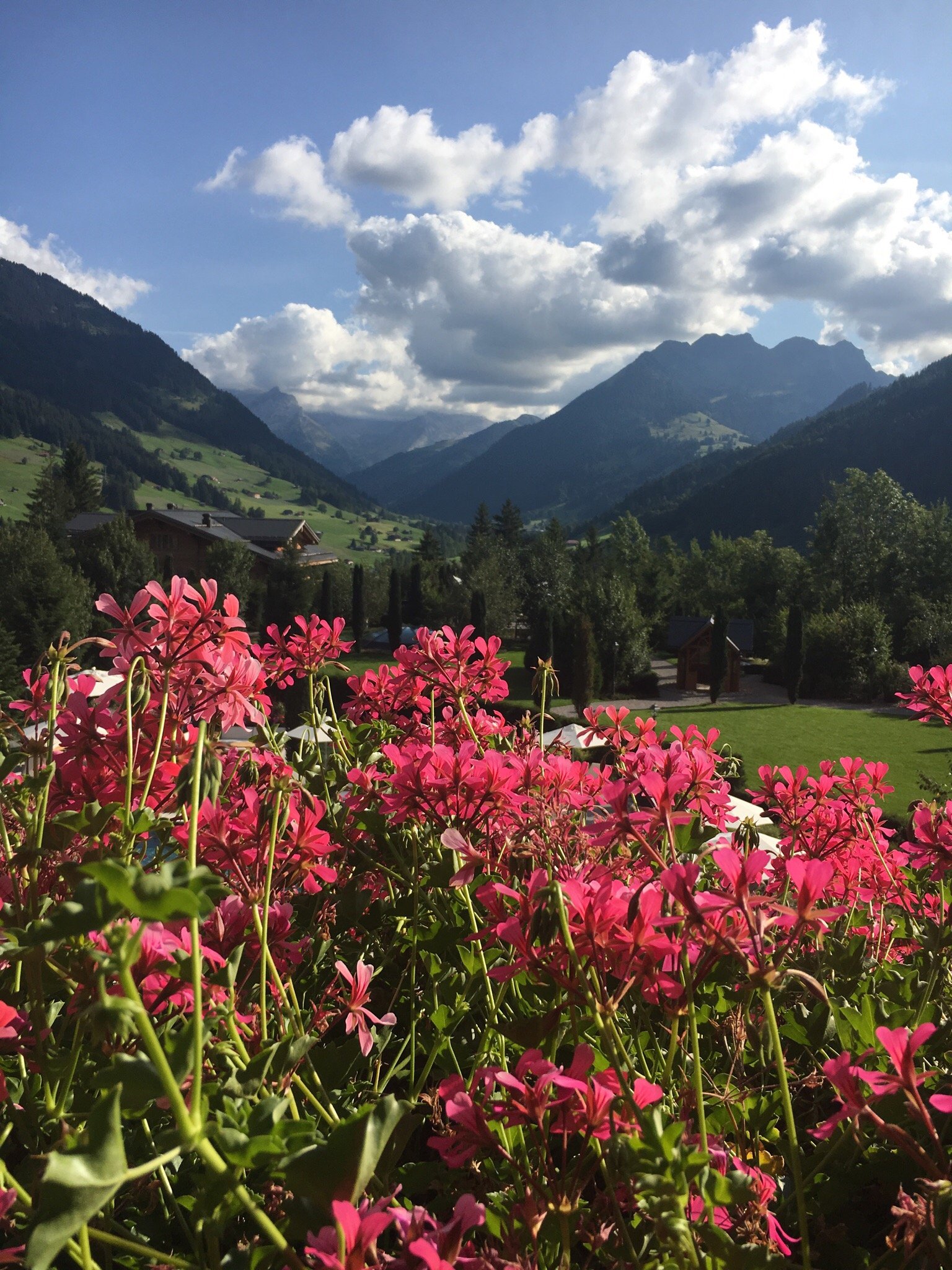 THE ALPINA GSTAAD - Updated 2024 Prices & Hotel Reviews (Switzerland)