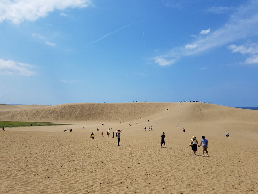 ビジネス旅館松葉 口コミ 宿泊予約 トリップアドバイザー