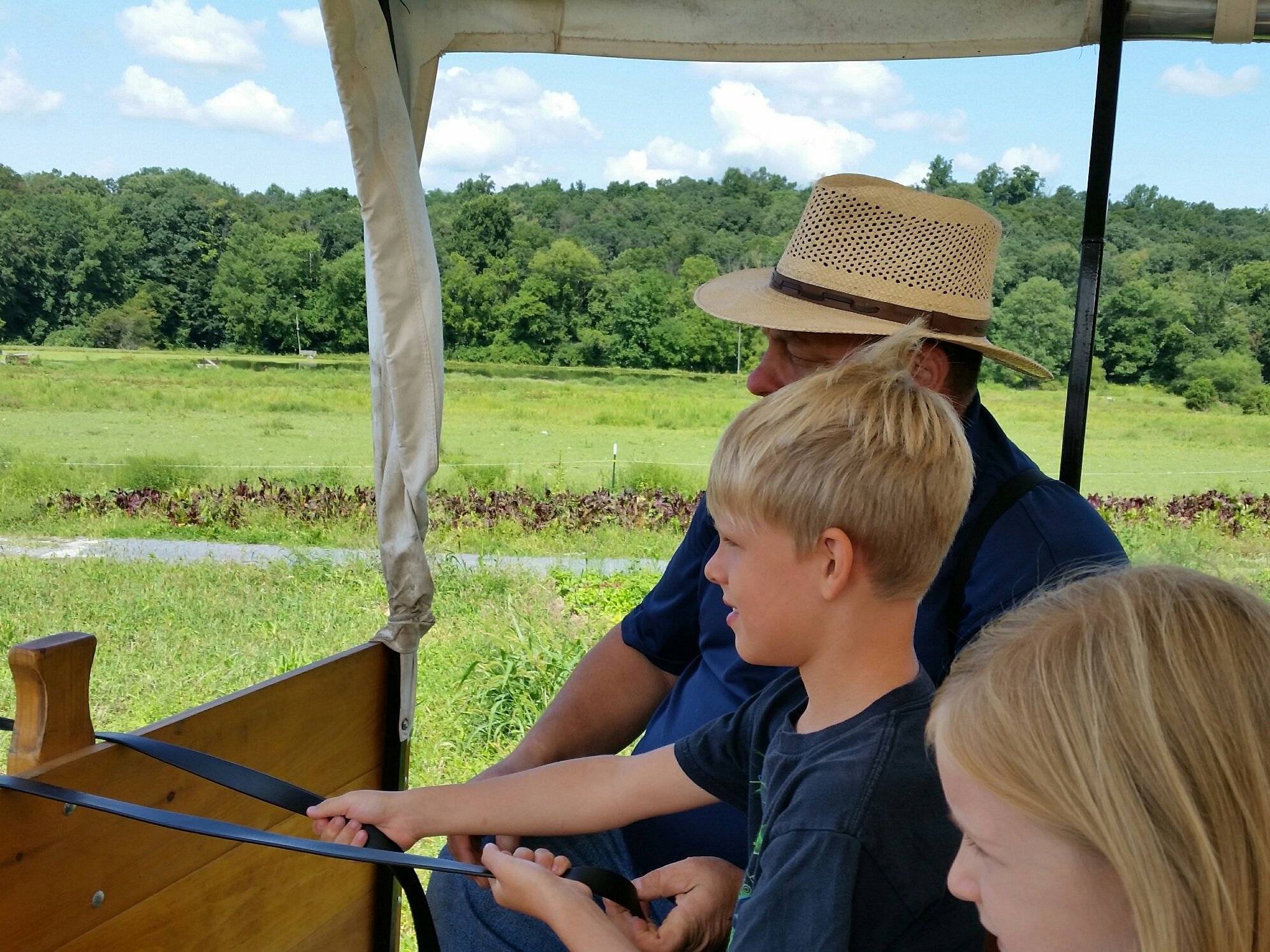 Horse Drawn Conestoga Wagon Tours All You Need to Know BEFORE You Go