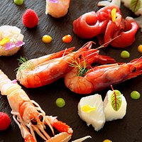 crudo di pesce