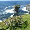 Things To Do in Red's Orkney Tours, Restaurants in Red's Orkney Tours
