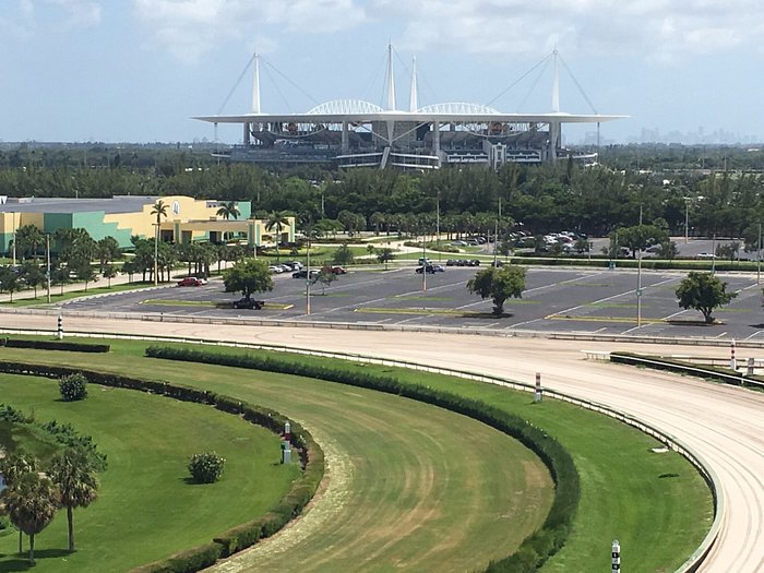 Excellent club level - Review of Hard Rock Stadium, Miami, FL - Tripadvisor