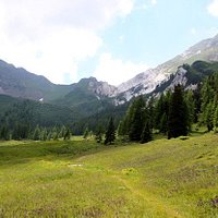 Prateria