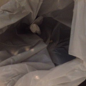 L'Instant in Le Rove, image may contain: Bag, Trash, Garbage, Bed