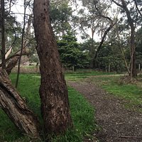 Olivers Creek Bushland Reserve