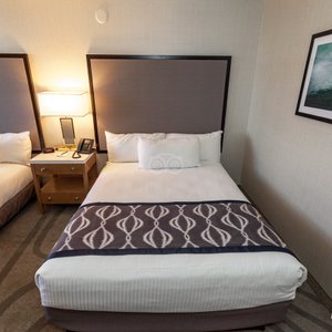 The Premium Two Queen at the California Hotel and Casino