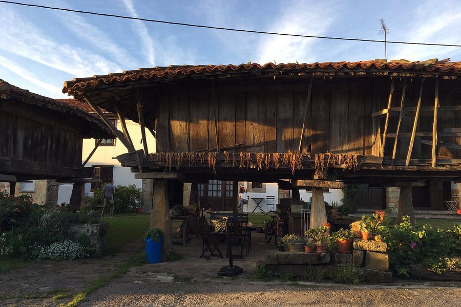 LA CASA DEL NATURALISTA (Argüero, España): opiniones y ...