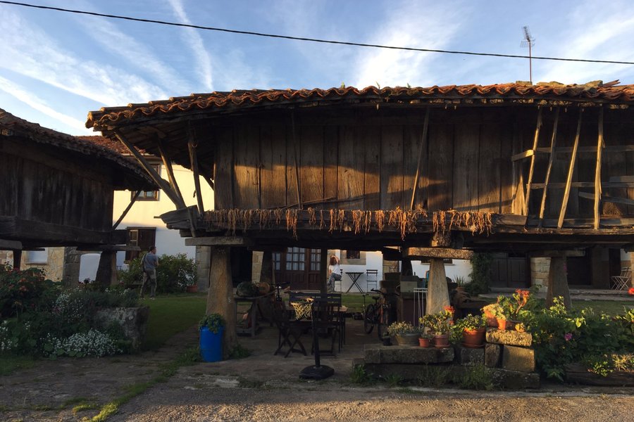 LA CASA DEL NATURALISTA (Argüero, España): opiniones y ...