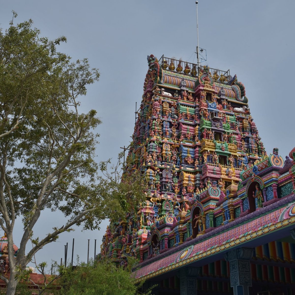 Pilaiyarpatti Temple, Sivaganga