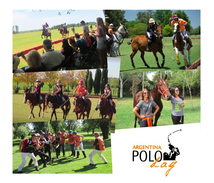 Polo day best sale