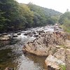 Things To Do in Craflwyn and Beddgelert, Restaurants in Craflwyn and Beddgelert