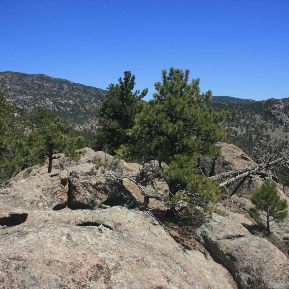 Button Rock Preserve (Lyons) - All You Need to Know BEFORE You Go