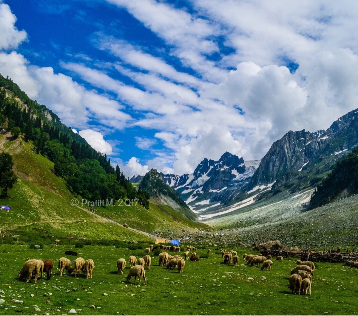 THAJIWAS GLACIER SONAMARG - All You MUST Know Before You Go (2025)