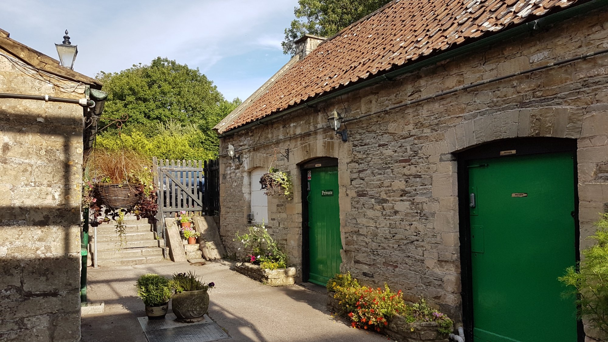 Dog inn shop near me