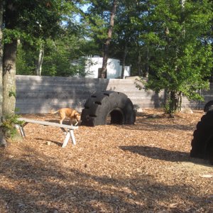 Dog park! So clean!