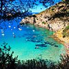 Things To Do in Argentario Divers, Restaurants in Argentario Divers