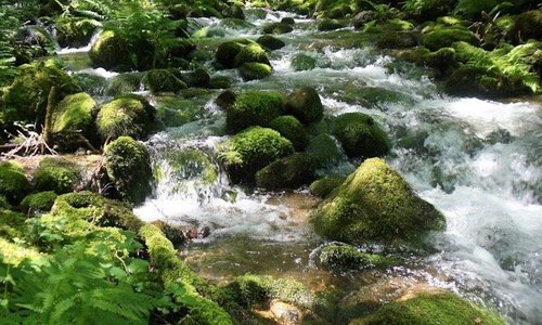 Río de Rabacallos