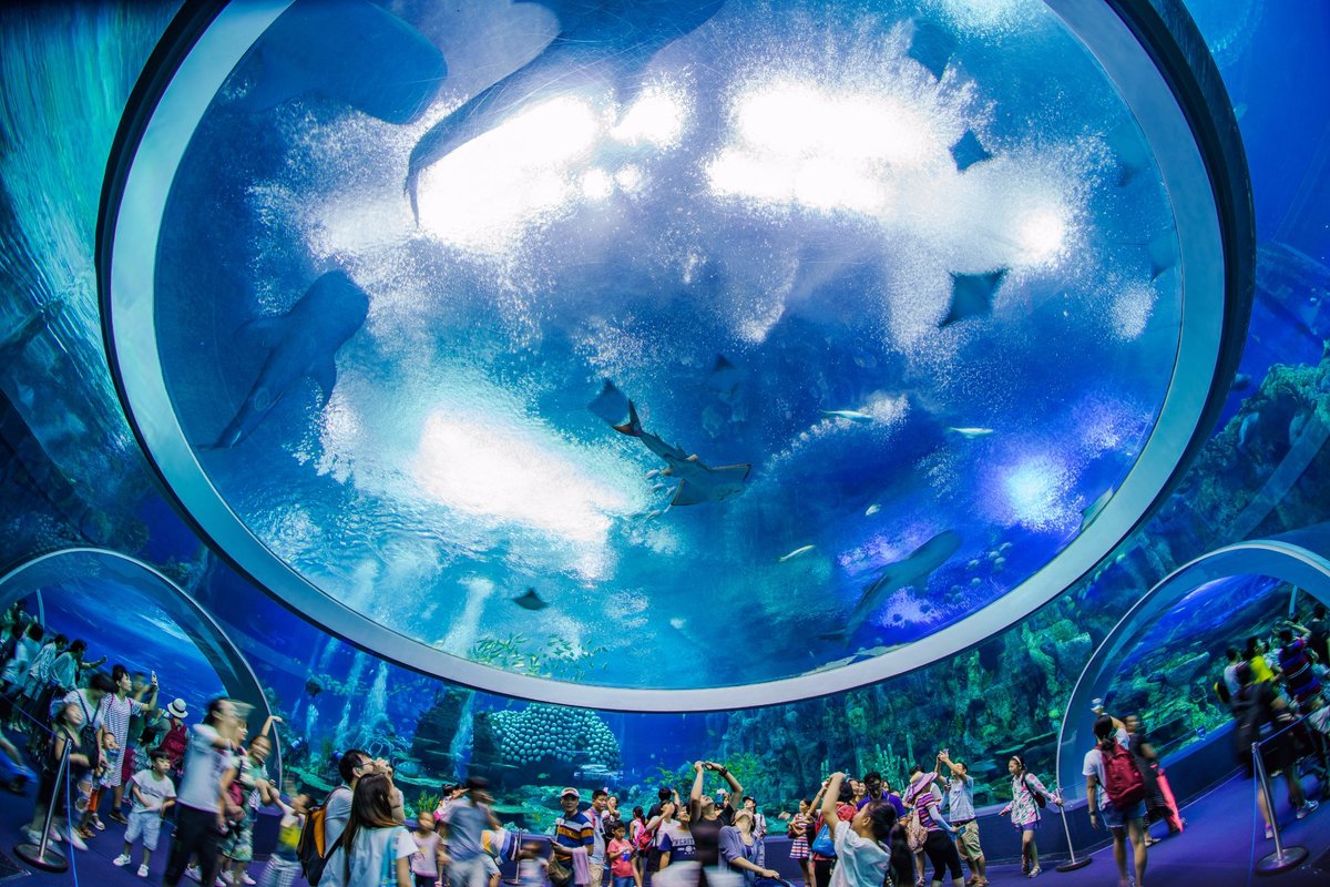 Chimelong Ocean Kingdom, Чжухай: лучшие советы перед посещением -  Tripadvisor