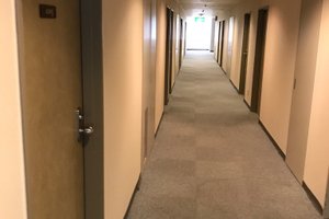 旅行者の写真