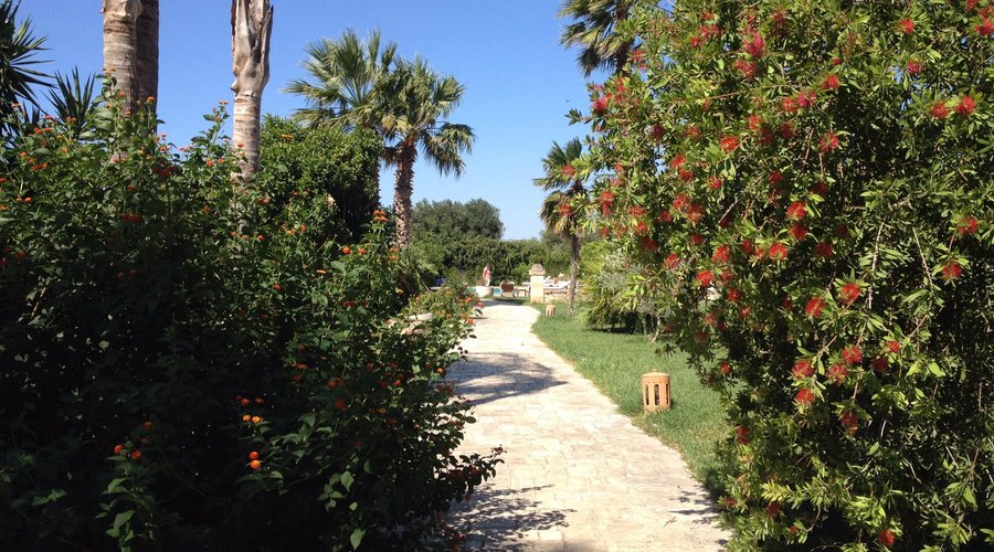 uno scorcio del parco