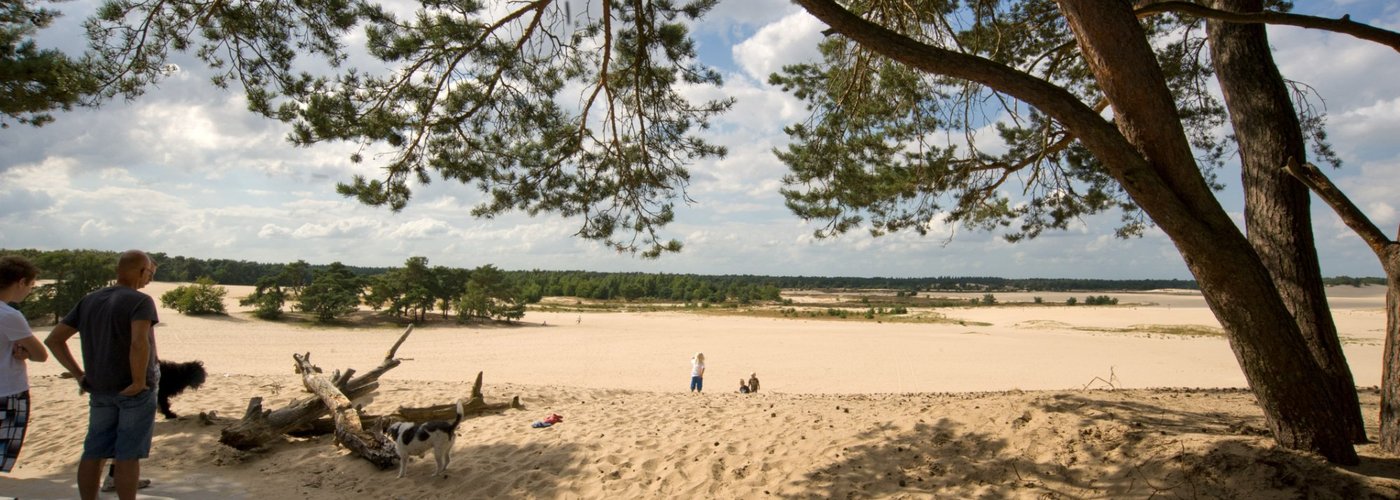 Vacation Park Duinhoeve is located 5 minutes away from the beautiful Loonse and Drunense Dunes!