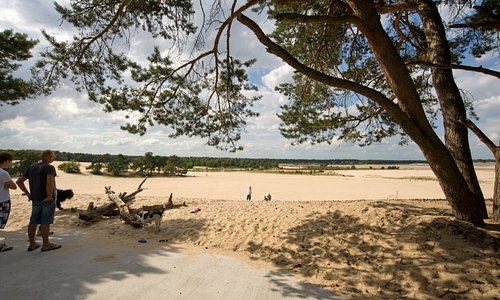 Vacation Park Duinhoeve is located 5 minutes away from the beautiful Loonse and Drunense Dunes!