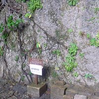 説明板