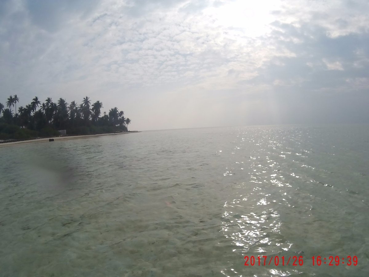 Bangaram Island Resort Snorkeling: Pictures & Reviews - Tripadvisor