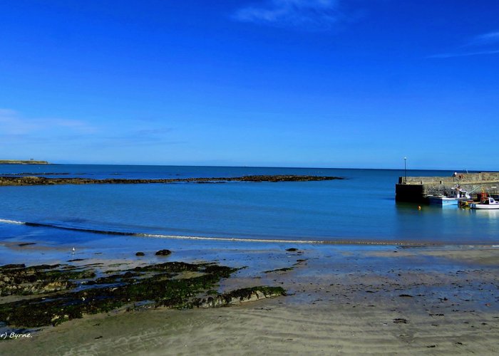 The harbour Rush.