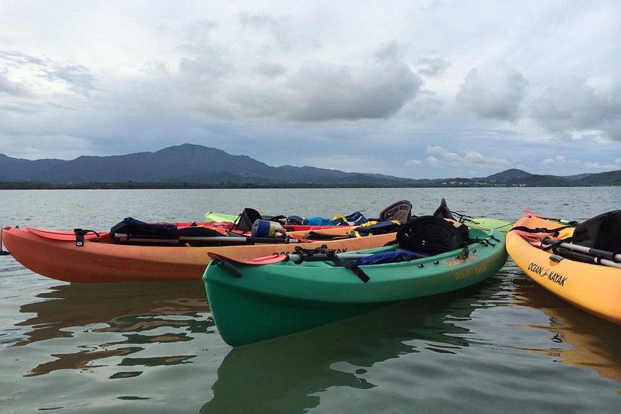 Barefoot Travelers Kayak Tour to Monkey Island image